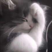 ヒメ日記 2025/09/17 22:19 投稿 深田ななお 池袋パラダイス