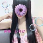 神楽いちか 🌷次回🌷 癒しのマダム