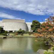 ヒメ日記 2025/11/04 07:58 投稿 美里さふ ワイフの楽園