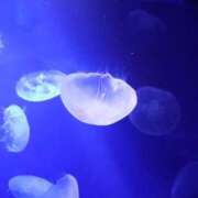 ヒメ日記 2025/11/07 10:41 投稿 れみ ナメすぎサークル立川店