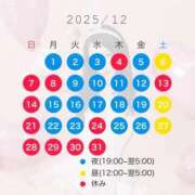 ヒメ日記 2025/11/28 20:17 投稿 みお 隙のあるエステ