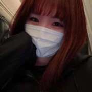 ヒメ日記 2025/12/11 23:49 投稿 ひな アネックスジャパン