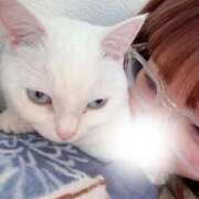 ヒメ日記 2025/12/16 14:04 投稿 ひな アネックスジャパン