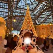 ひな 🎄 アネックスジャパン