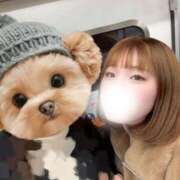 ひな 🥺 アネックスジャパン