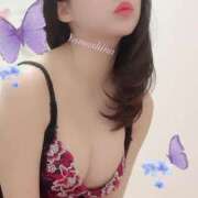 ヒメ日記 2025/07/15 08:40 投稿 山科 パンドラ（吉原）