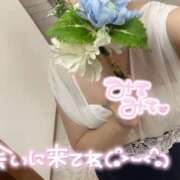 ヒメ日記 2025/07/11 07:13 投稿 ひな デリヘルパラダイス