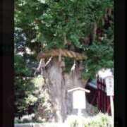 ヒメ日記 2025/07/14 18:04 投稿 愛海えれな セレブ Rex