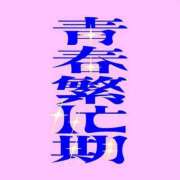 ヒメ日記 2025/07/17 13:50 投稿 愛海えれな セレブ Rex