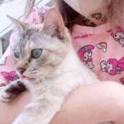 ヒメ日記 2025/07/17 20:03 投稿 愛海えれな セレブ Rex