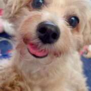 ヒメ日記 2025/07/26 15:19 投稿 愛海えれな セレブ Rex