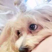 ヒメ日記 2025/08/01 15:18 投稿 愛海えれな セレブ Rex