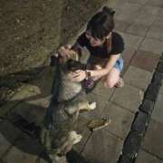 ヒメ日記 2025/09/30 23:32 投稿 しほ ジャパンクラブ富士