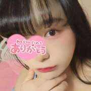 ヒメ日記 2025/07/19 03:29 投稿 たまご アネックスジャパン