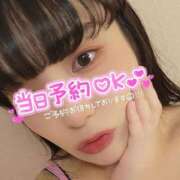 ヒメ日記 2025/07/20 06:19 投稿 たまご アネックスジャパン