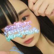 ヒメ日記 2025/08/09 07:19 投稿 たまご アネックスジャパン