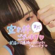 ヒメ日記 2025/08/19 12:09 投稿 たまご アネックスジャパン