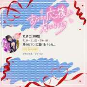 ヒメ日記 2025/10/20 17:09 投稿 たまご アネックスジャパン