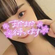 ヒメ日記 2025/12/10 13:49 投稿 たまご アネックスジャパン