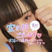 ヒメ日記 2026/01/26 12:19 投稿 たまご アネックスジャパン