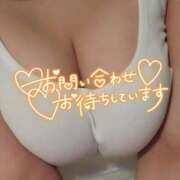 ヒメ日記 2026/01/28 22:19 投稿 たまご アネックスジャパン