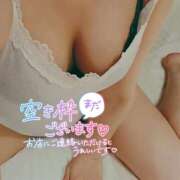 ヒメ日記 2026/02/02 08:19 投稿 たまご アネックスジャパン