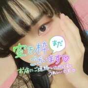 ヒメ日記 2026/02/25 14:39 投稿 たまご アネックスジャパン