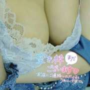 ヒメ日記 2026/04/28 13:09 投稿 たまご アネックスジャパン