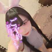 ヒメ日記 2026/06/18 11:15 投稿 たまご アネックスジャパン