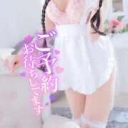 ヒメ日記 2026/07/13 06:09 投稿 たまご アネックスジャパン