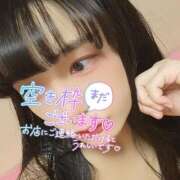 ヒメ日記 2026/09/13 10:20 投稿 たまご アネックスジャパン