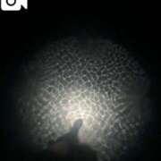 ヒメ日記 2025/09/12 18:21 投稿 凛々子(りりこ) グランドオペラ横浜