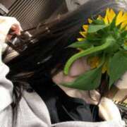 ヒメ日記 2025/09/18 17:55 投稿 凛々子(りりこ) グランドオペラ横浜