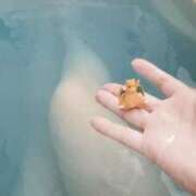 ヒメ日記 2025/07/17 20:30 投稿 まこ 君とふわふわプリンセスin川越