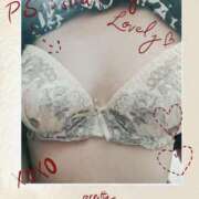 ヒメ日記 2025/10/24 11:42 投稿 たまみ 千葉人妻花壇