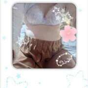 ヒメ日記 2025/12/27 12:01 投稿 たまみ 千葉人妻花壇