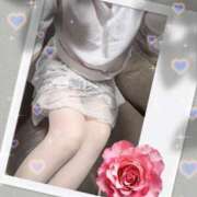 ヒメ日記 2026/01/13 11:03 投稿 たまみ 千葉人妻花壇