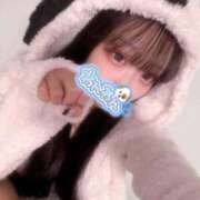 りり しゅっきん🐾⭐ リッチドールフェミニン