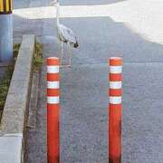 ヒメ日記 2025/09/17 16:08 投稿 若月ゆり プランタン大塚