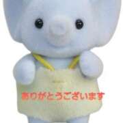 ヒメ日記 2025/11/21 01:20 投稿 若月ゆり プランタン大塚