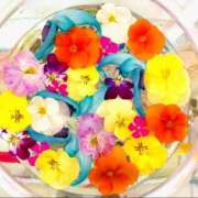 ヒメ日記 2025/07/20 09:29 投稿 みゆ Mrs Sirena（ミセスシレナ）