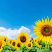 ヒメ日記 2025/08/14 16:33 投稿 みゆ Mrs Sirena（ミセスシレナ）