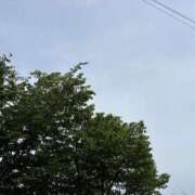 ヒメ日記 2025/08/20 09:29 投稿 みゆ Mrs Sirena（ミセスシレナ）