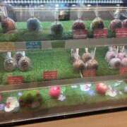 ヒメ日記 2025/08/26 22:35 投稿 みゆ Mrs Sirena（ミセスシレナ）