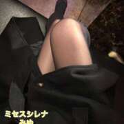 ヒメ日記 2025/11/08 17:30 投稿 みゆ Mrs Sirena（ミセスシレナ）