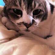 ヒメ日記 2025/08/20 10:42 投稿 奈諸美（なおみ） エッチな熟女(熊谷)