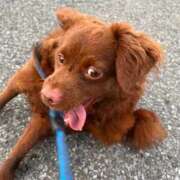 ヒメ日記 2025/08/29 10:44 投稿 奈諸美（なおみ） エッチな熟女(熊谷)