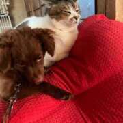 ヒメ日記 2025/09/15 11:10 投稿 奈諸美（なおみ） エッチな熟女(熊谷)