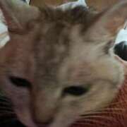 奈諸美（なおみ） 久々のチュー💋 エッチな熟女(熊谷)