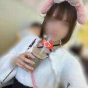 ヒメ日記 2026/01/24 13:20 投稿 桃瀬まひろ MIRAI TOKYO 新宿店